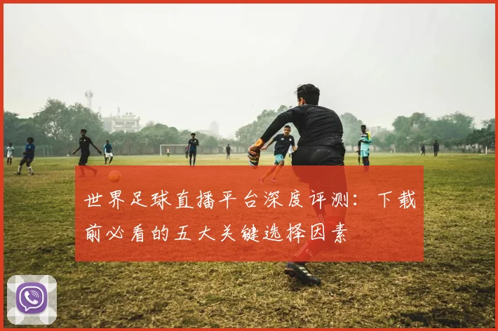 世界足球直播平台深度评测：下载前必看的五大关键选择因素