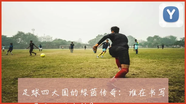 足球四大国的绿茵传奇:谁在书写世界足坛的史诗?